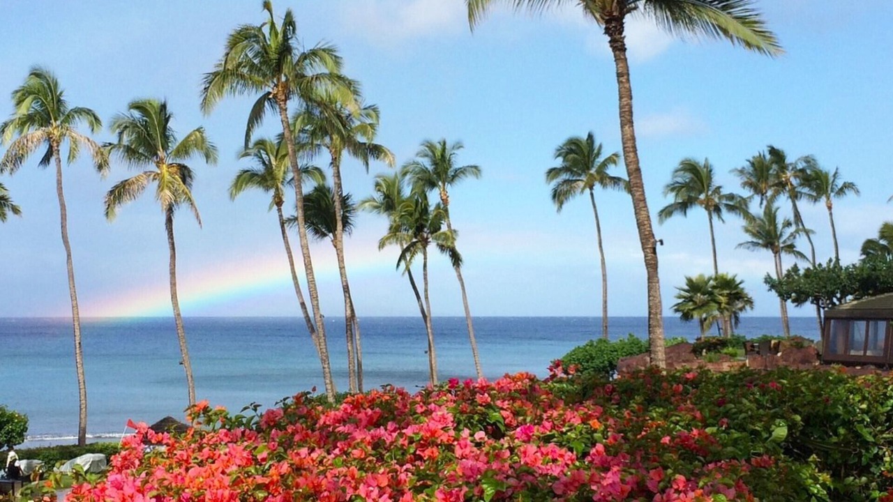 Photo of Others in Kaanapali