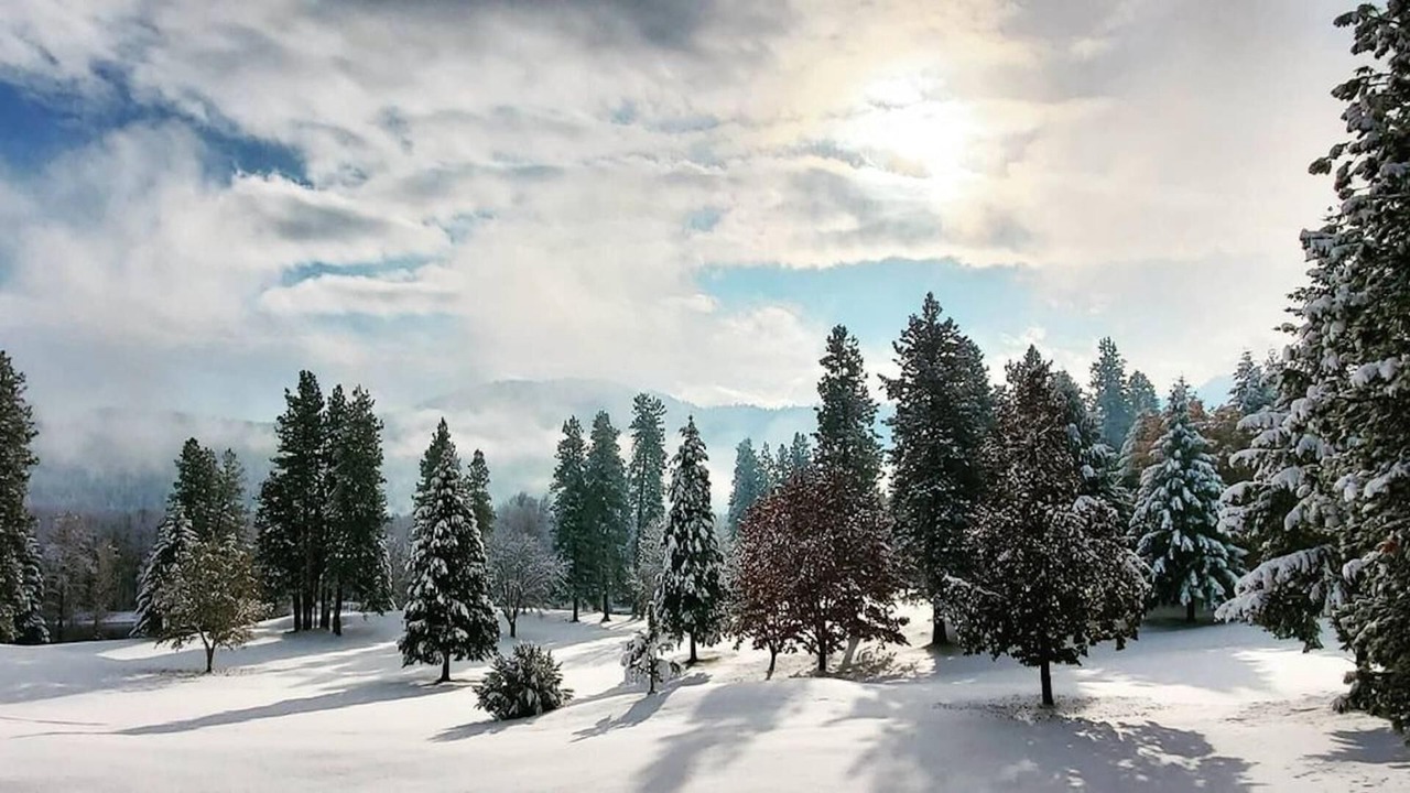 Photo of Others in Downtown Leavenworth