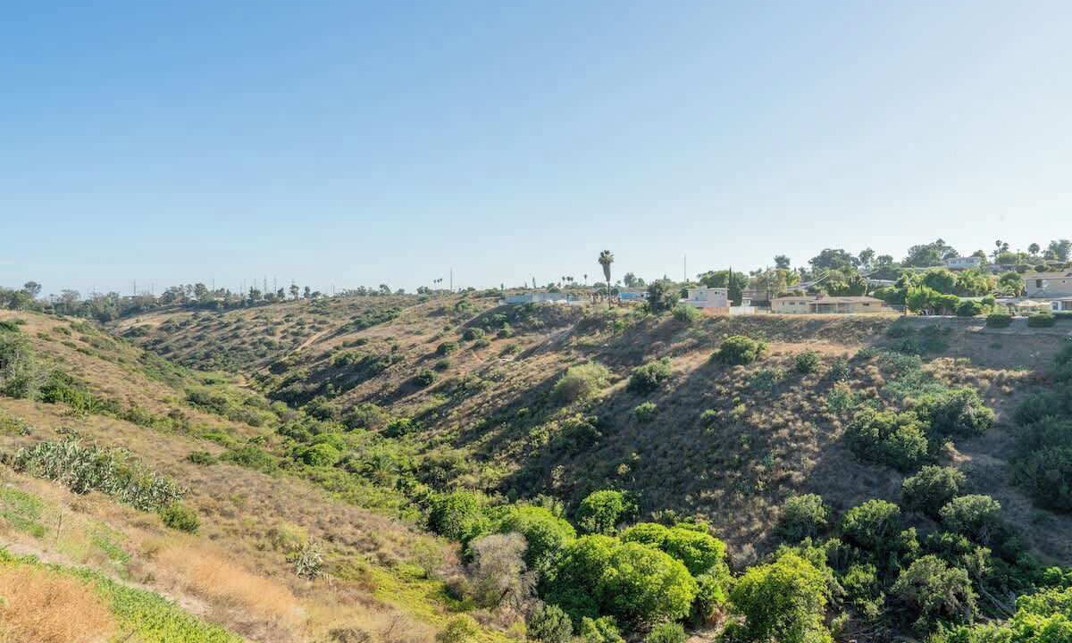 Photo of Others in Serra Mesa