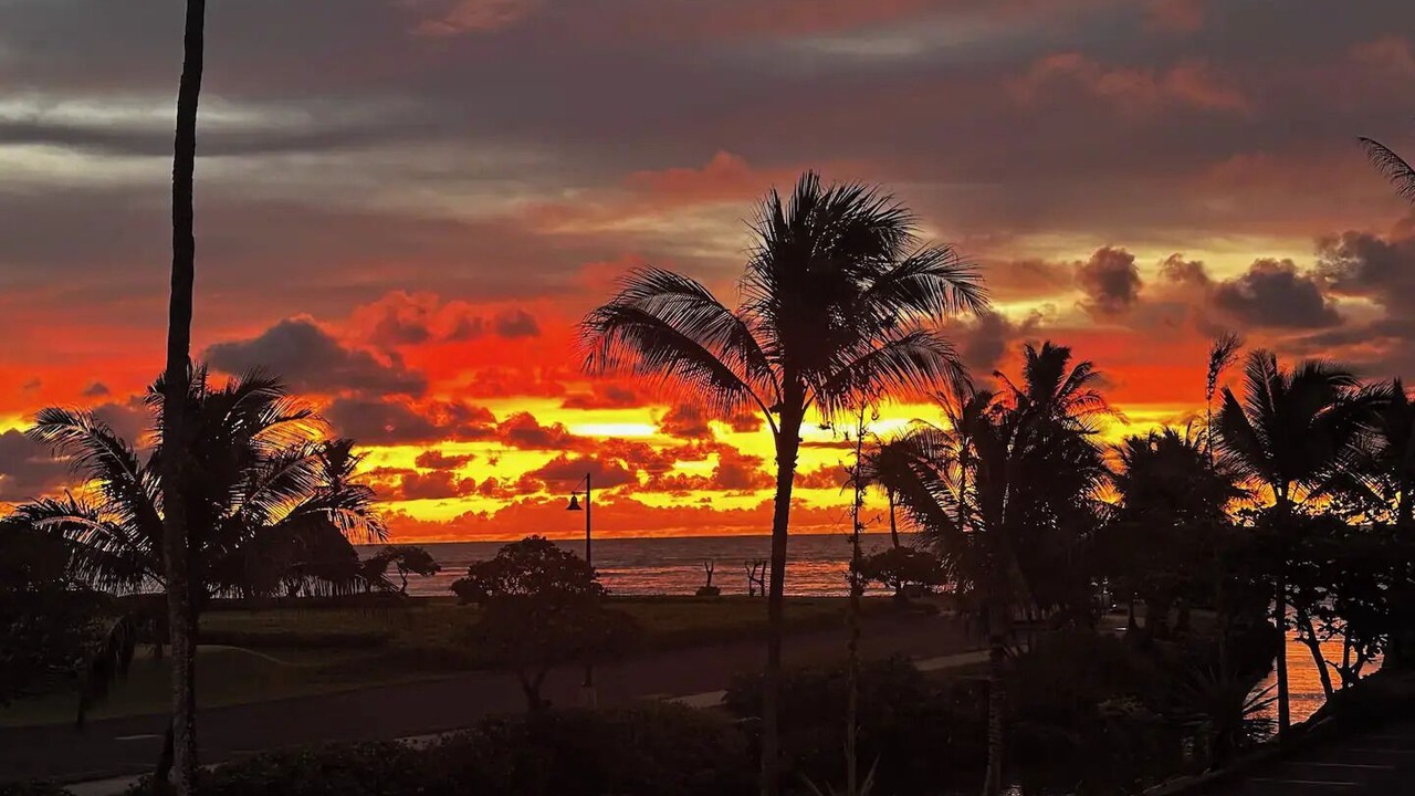 Photo of Others in Wailua
