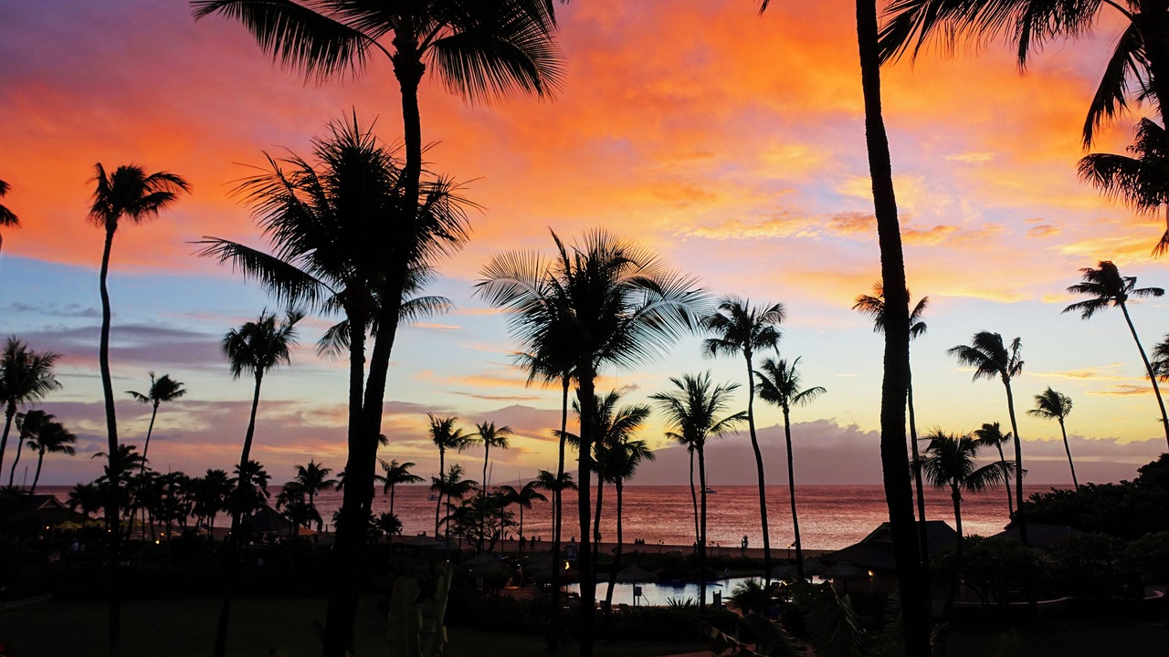 Photo of Others in Kaanapali