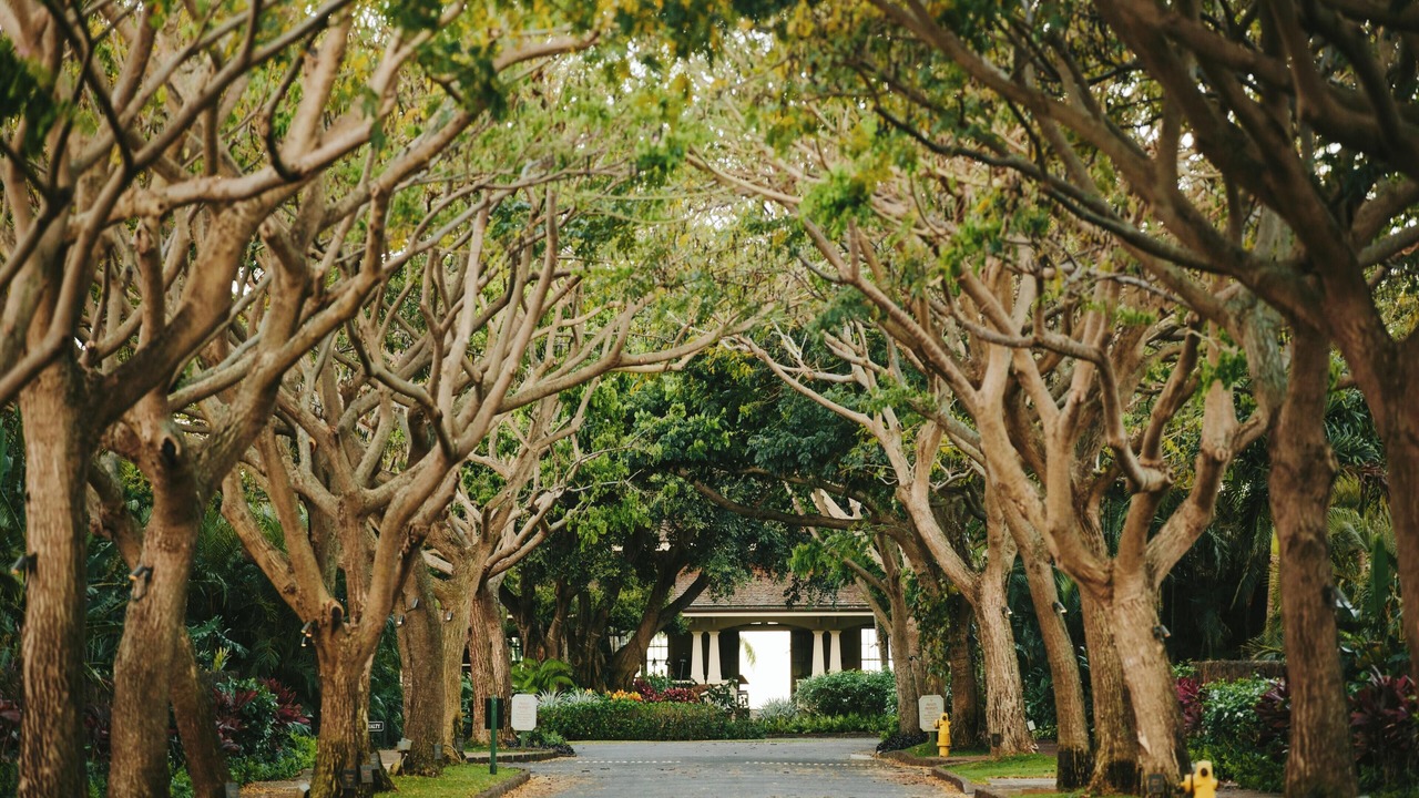 Photo of Others in Kukuiula