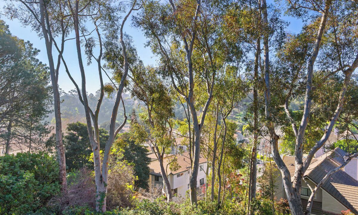 Photo of Others in La Jolla Village