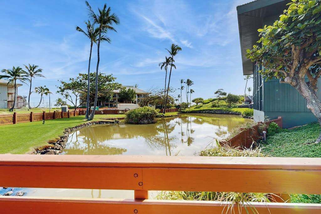 Photo of Outdoor in Hanamaulu