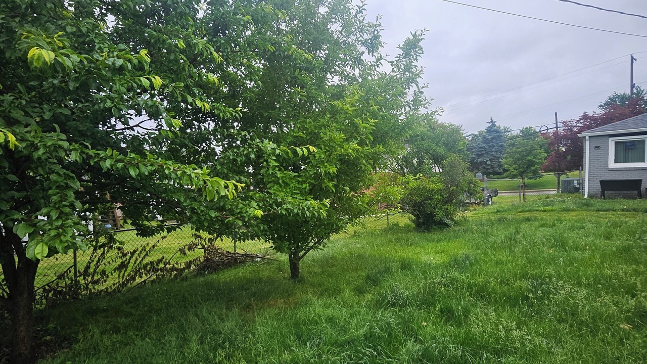 Photo of Outdoor in Plymouth Meeting