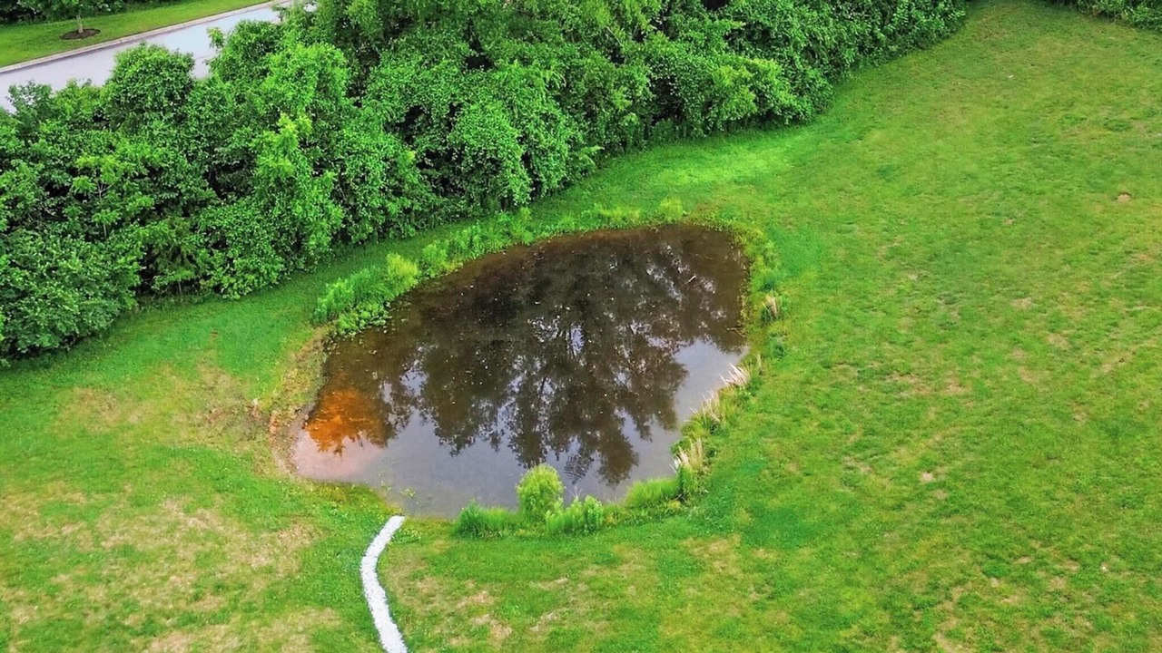 Photo of Outdoor in Mount Juliet
