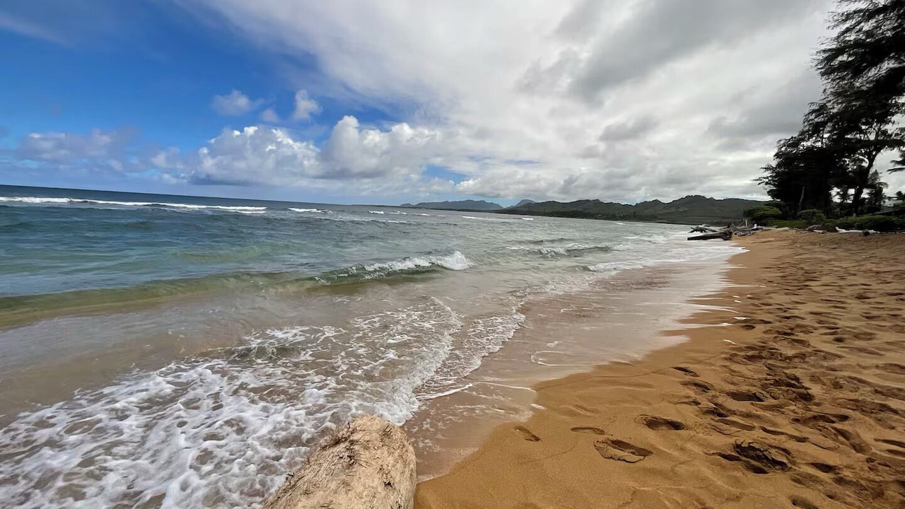 Photo of Others in Wailua