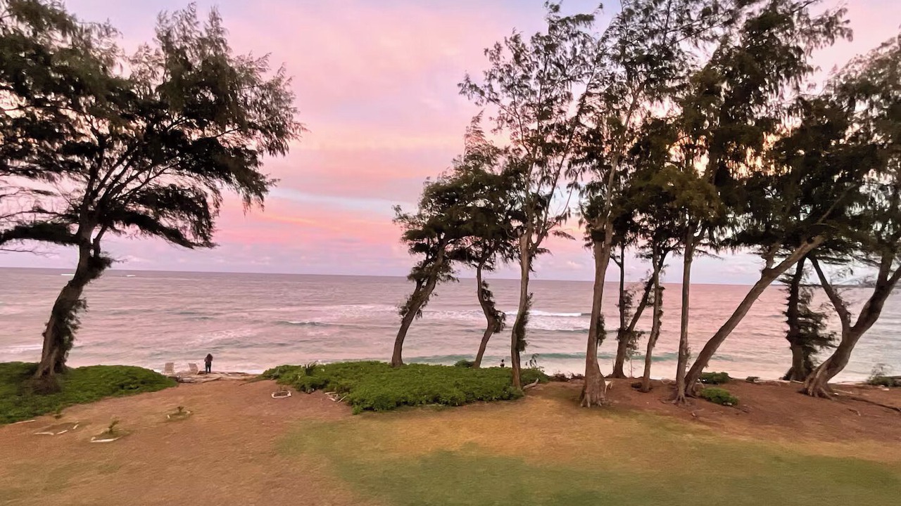 Photo of Others in Wailua