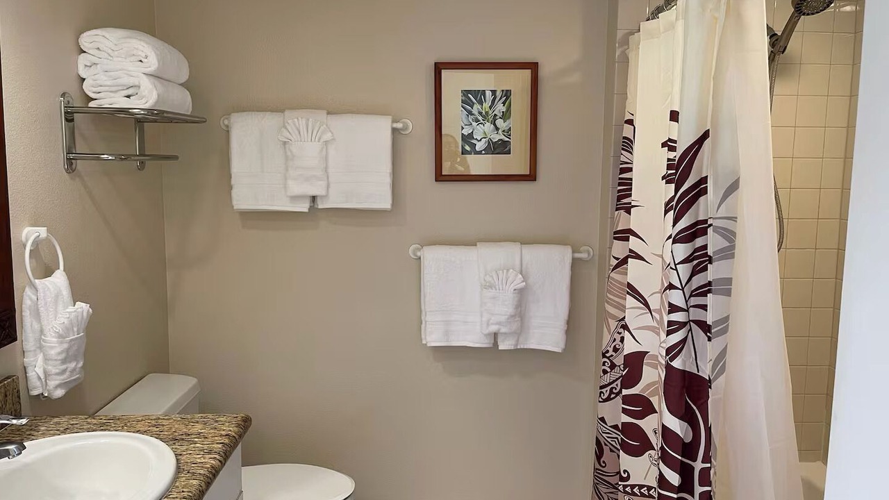 Photo of Bathroom in Wailua