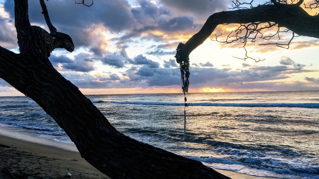 Photo of Others in Wailua