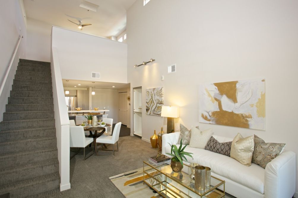 Photo of Livingroom in University City