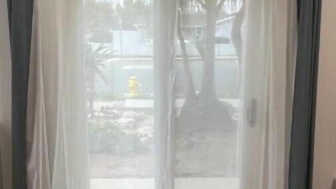 Photo of Others in Clairemont