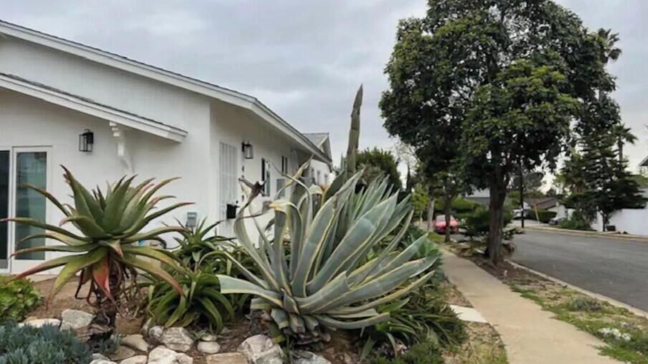 Photo of Outdoor in Clairemont