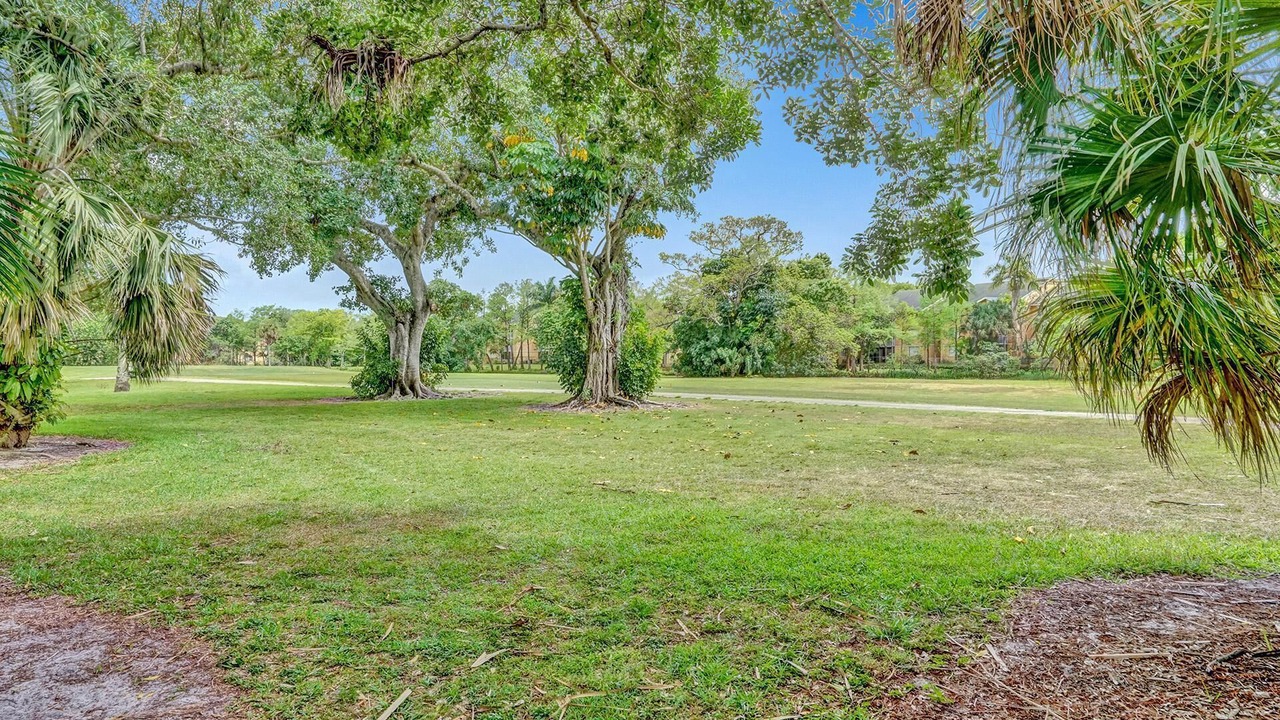 Photo of Outdoor in Survey Creek