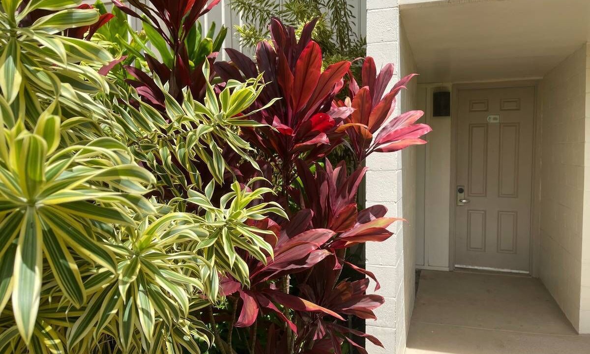 Photo of Outdoor in Wailua