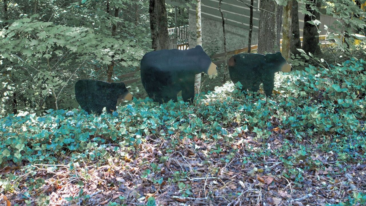 Photo of Others in Townsend