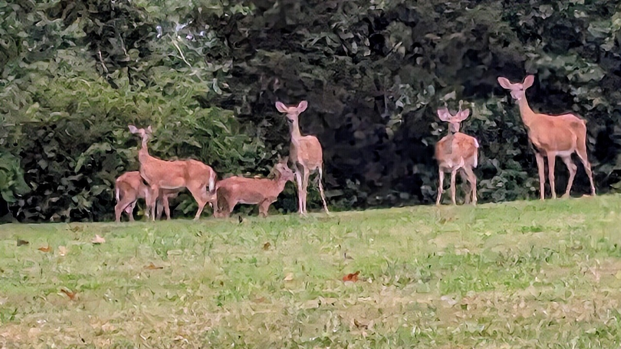 Photo of Others in Quakertown