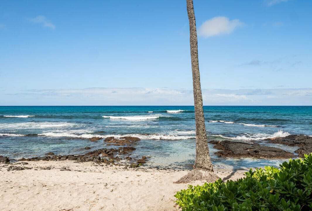 Photo of Others in Kailua-Kona