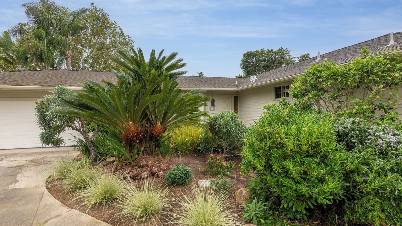 Photo of Outdoor in La Jolla Shores