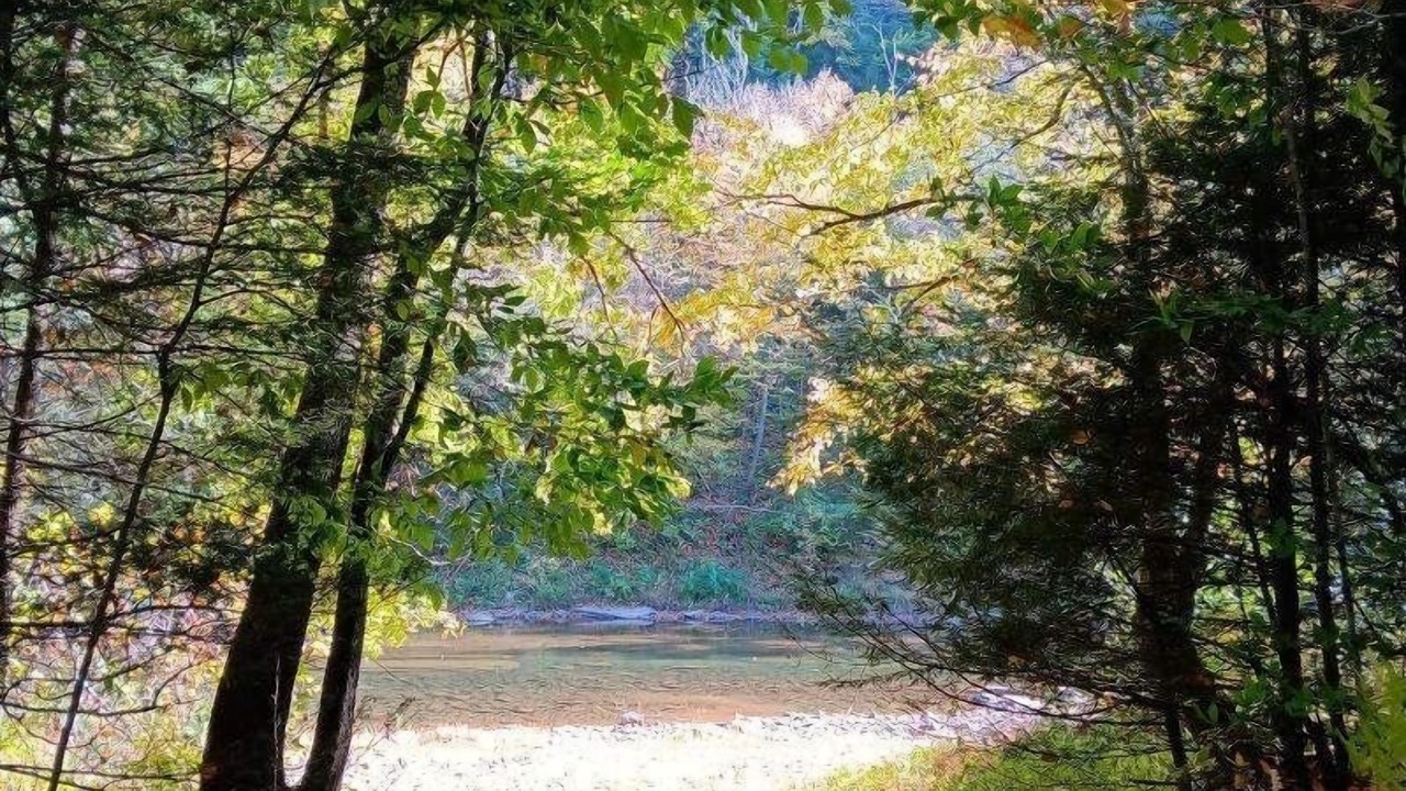 Photo of Others in Benezette