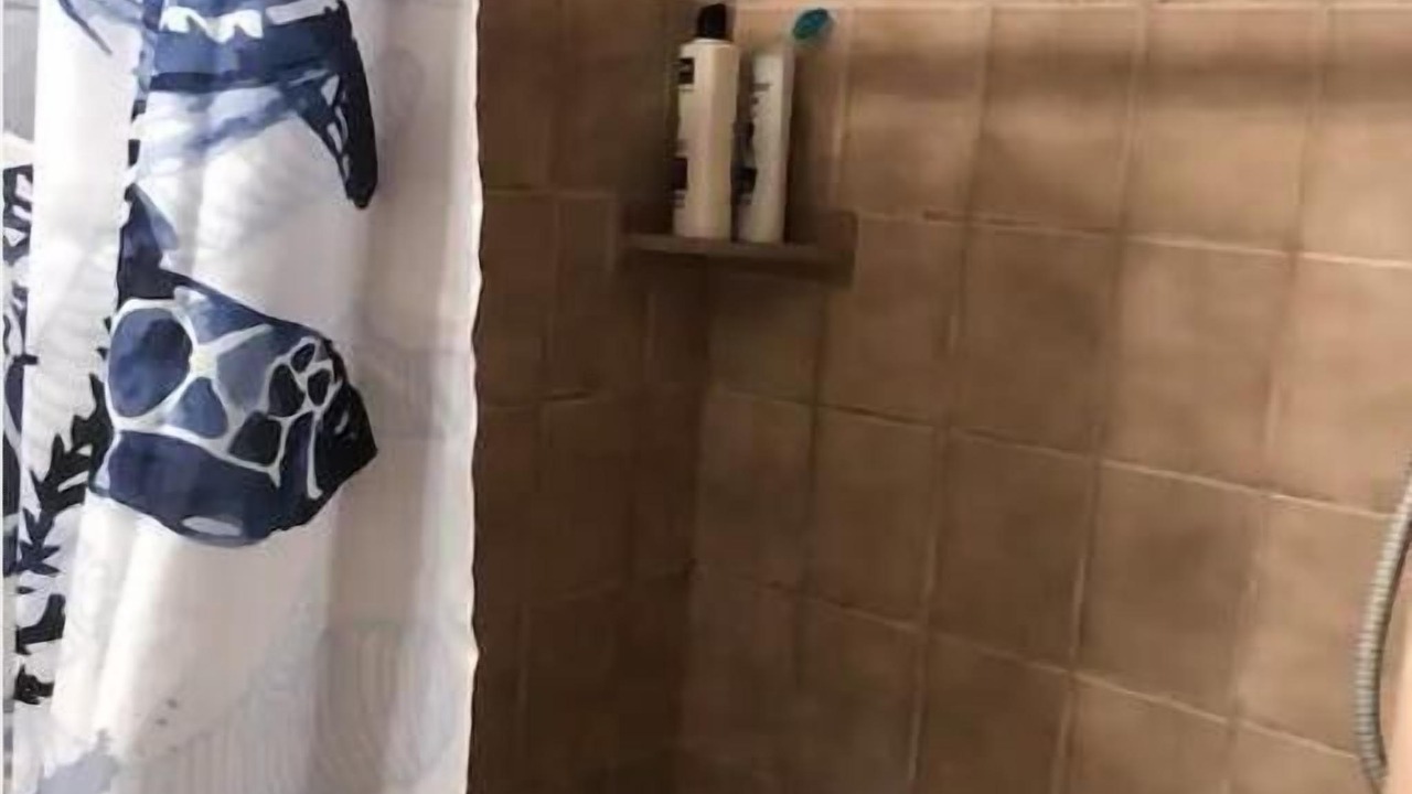 Photo of Bathroom in Bay Park