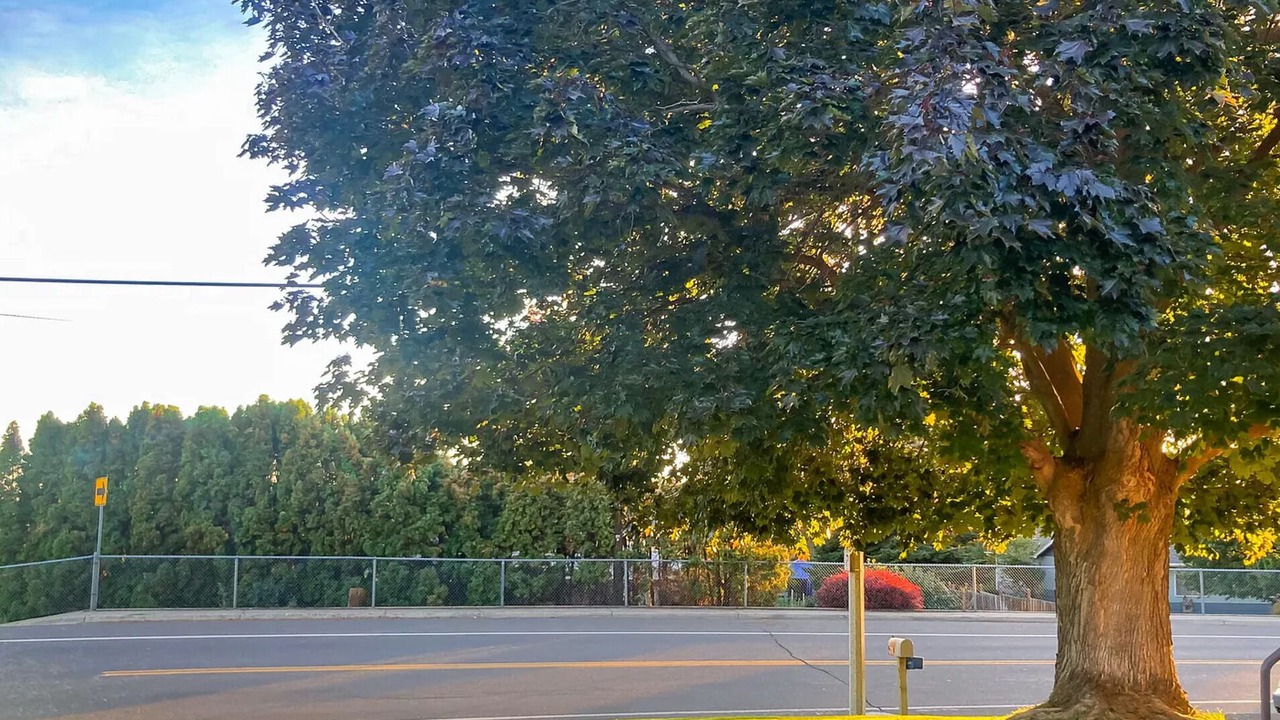 Photo of Others in Terrace Heights