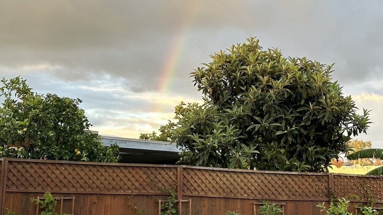 Photo of Outdoor in Linda Vista