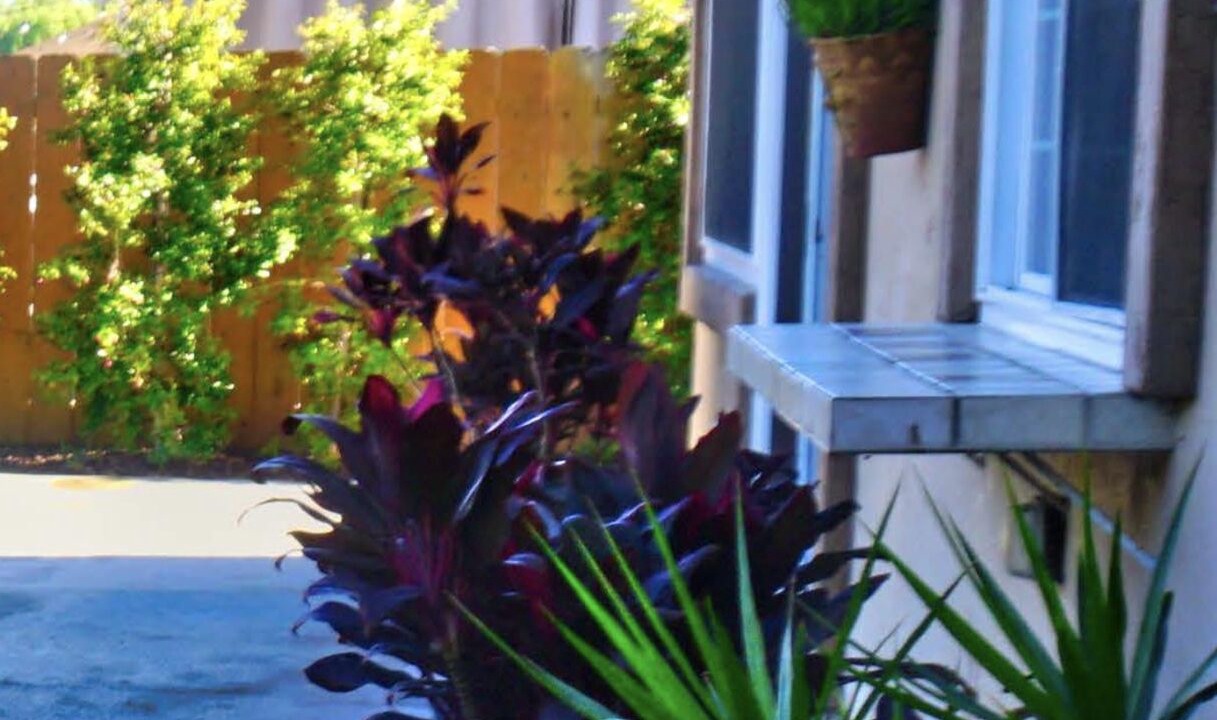 Photo of Outdoor in Tierrasanta
