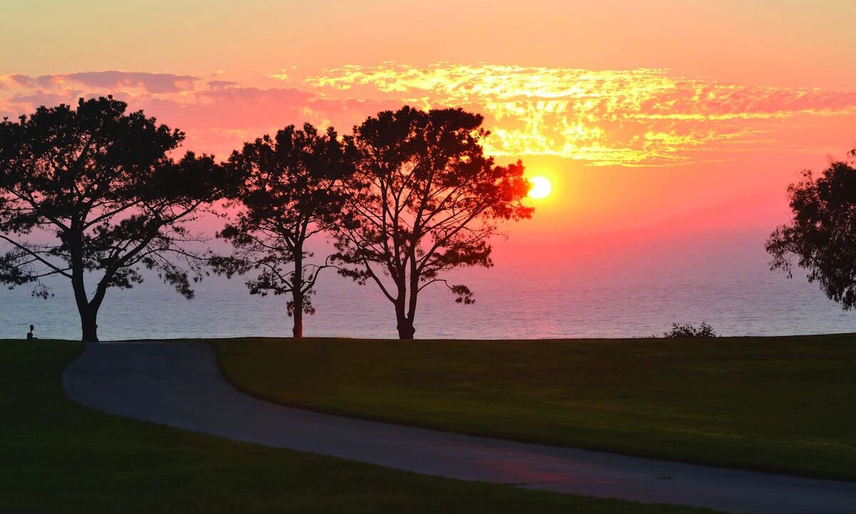 Photo of Others in Torrey Pines