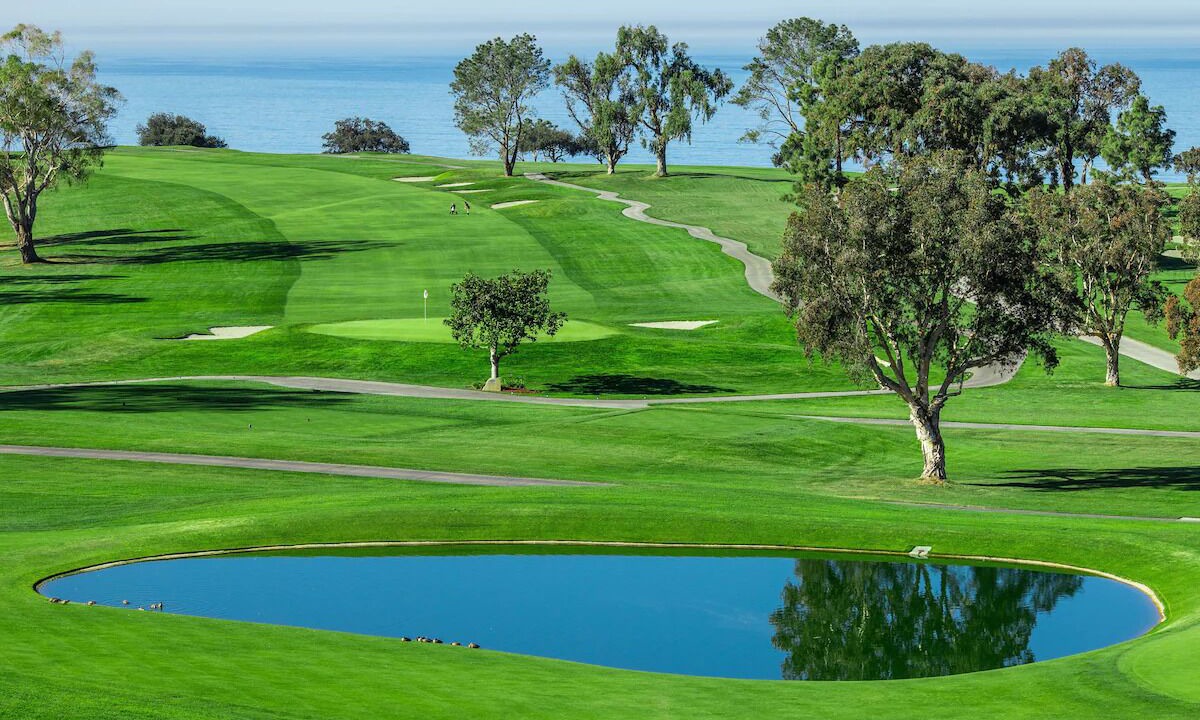 Photo of Others in Torrey Pines
