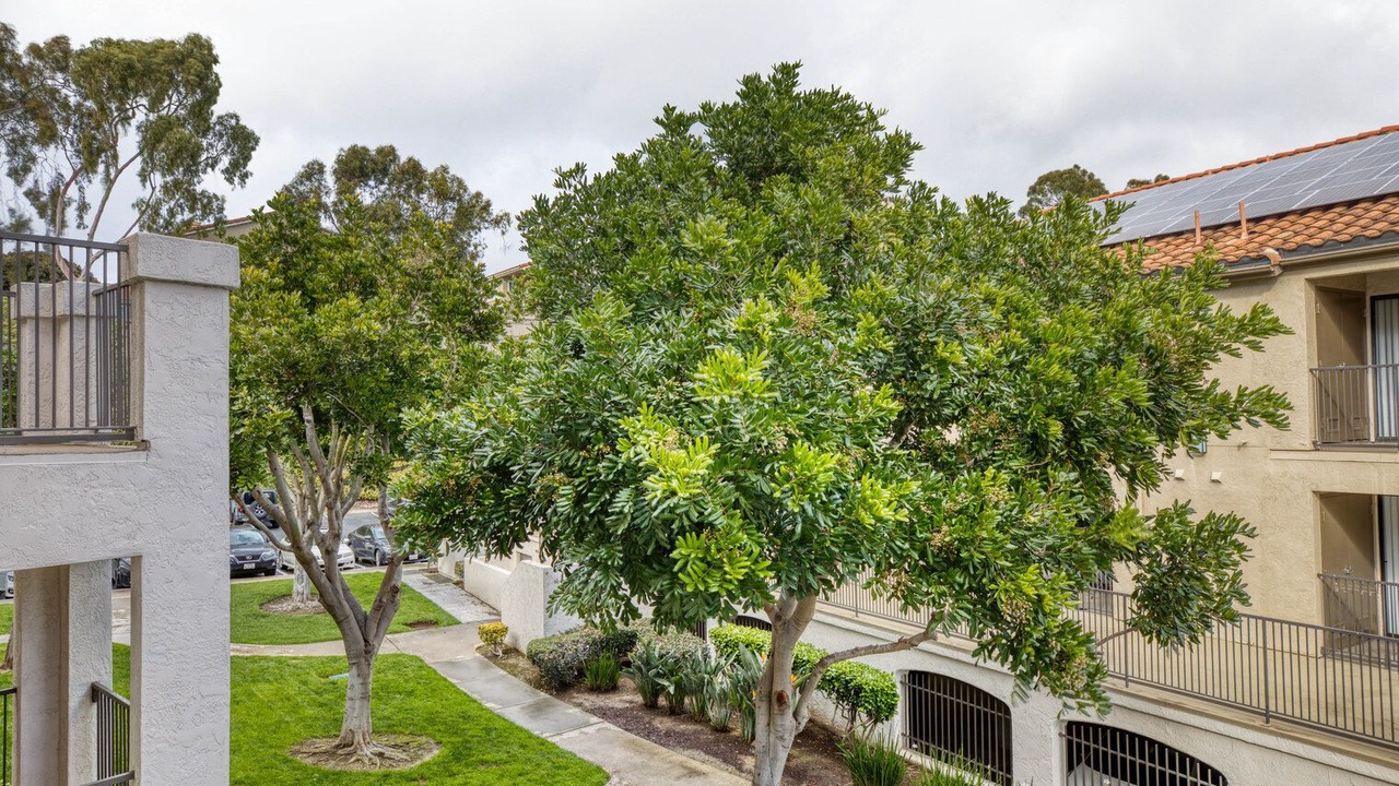 Photo of Outdoor in University City
