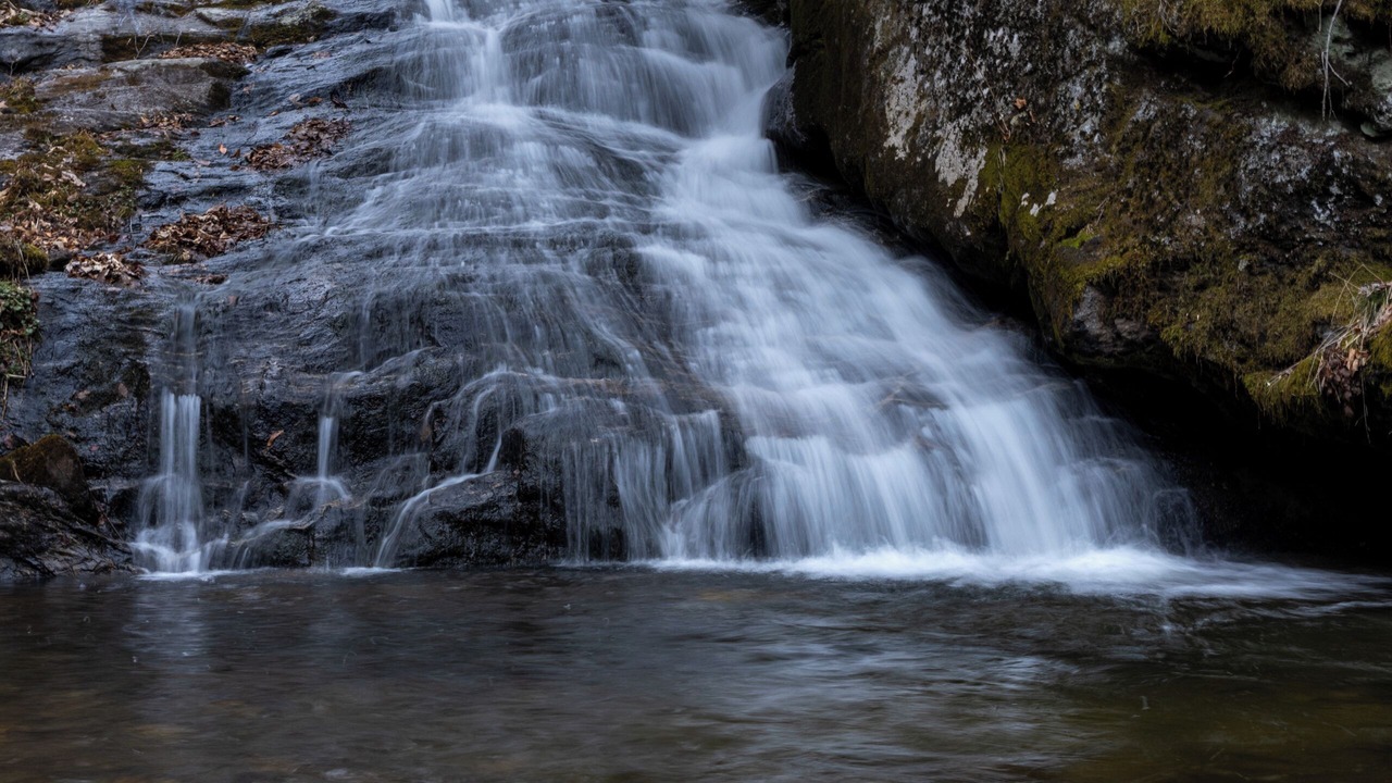 Photo of Others in Sylva