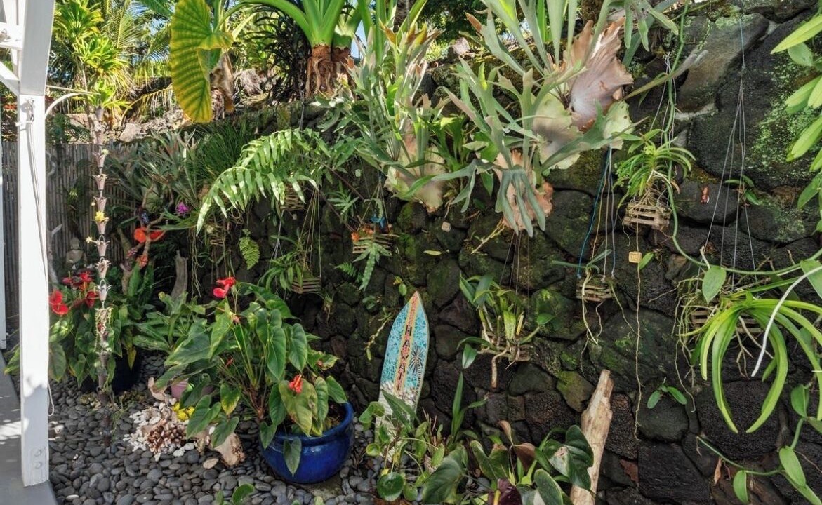 Photo of Outdoor in Kalaoa