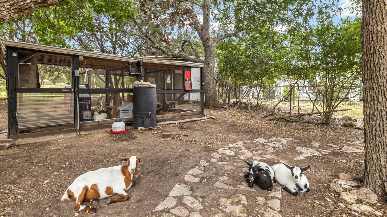 Photo of Outdoor in Bear Creek