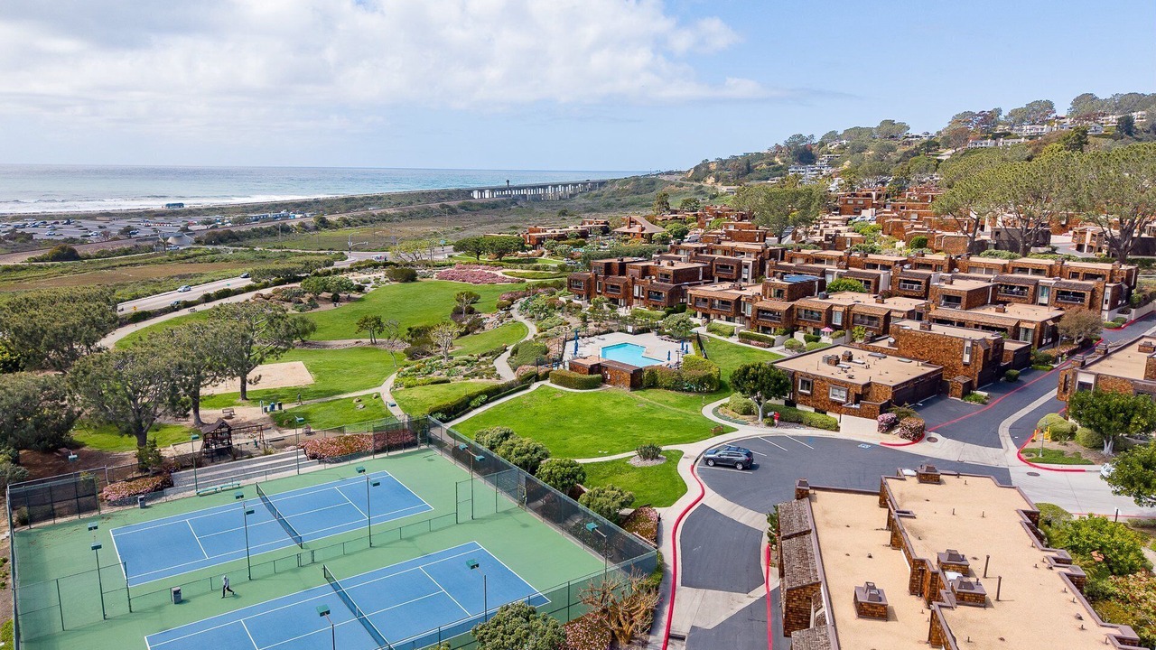 Photo of Others in Del Mar Heights