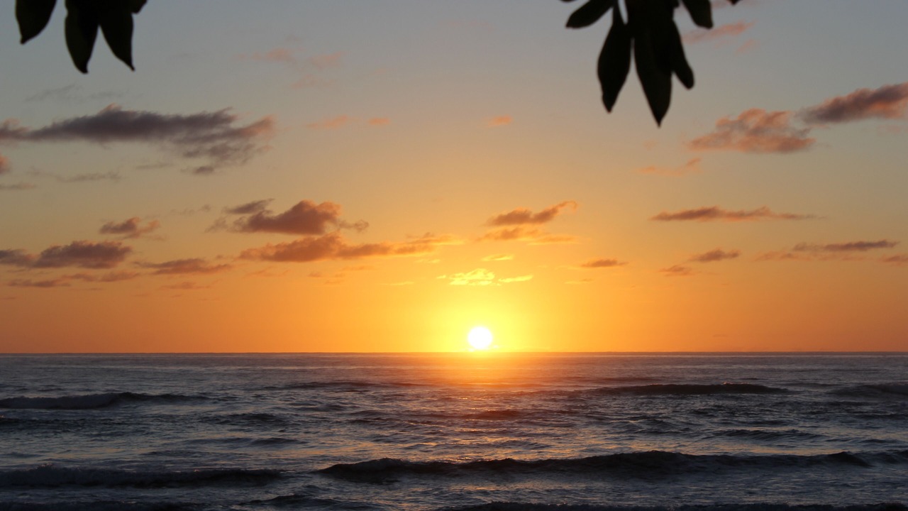 Photo of Others in Hanamaulu