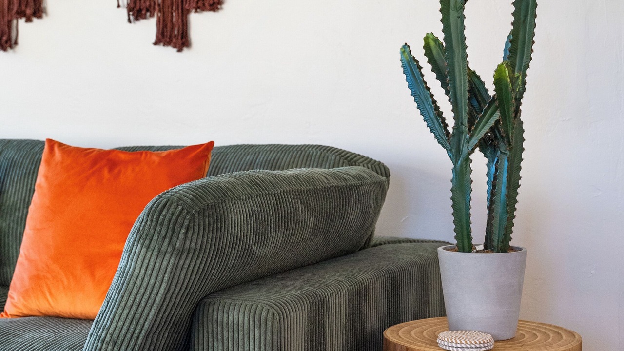 Photo of Livingroom in La Jolla Heights