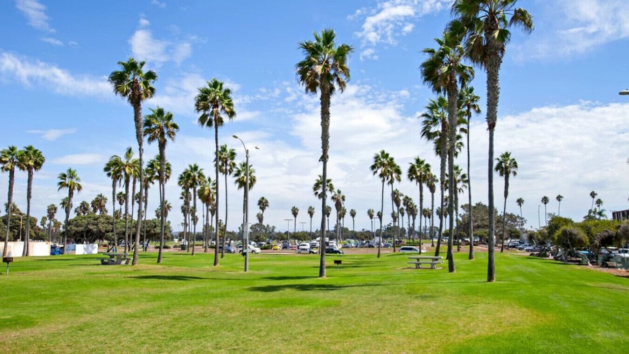 Photo of Others in Mission Beach