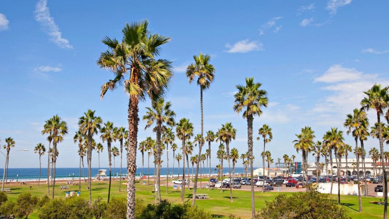 Photo of Others in Mission Beach