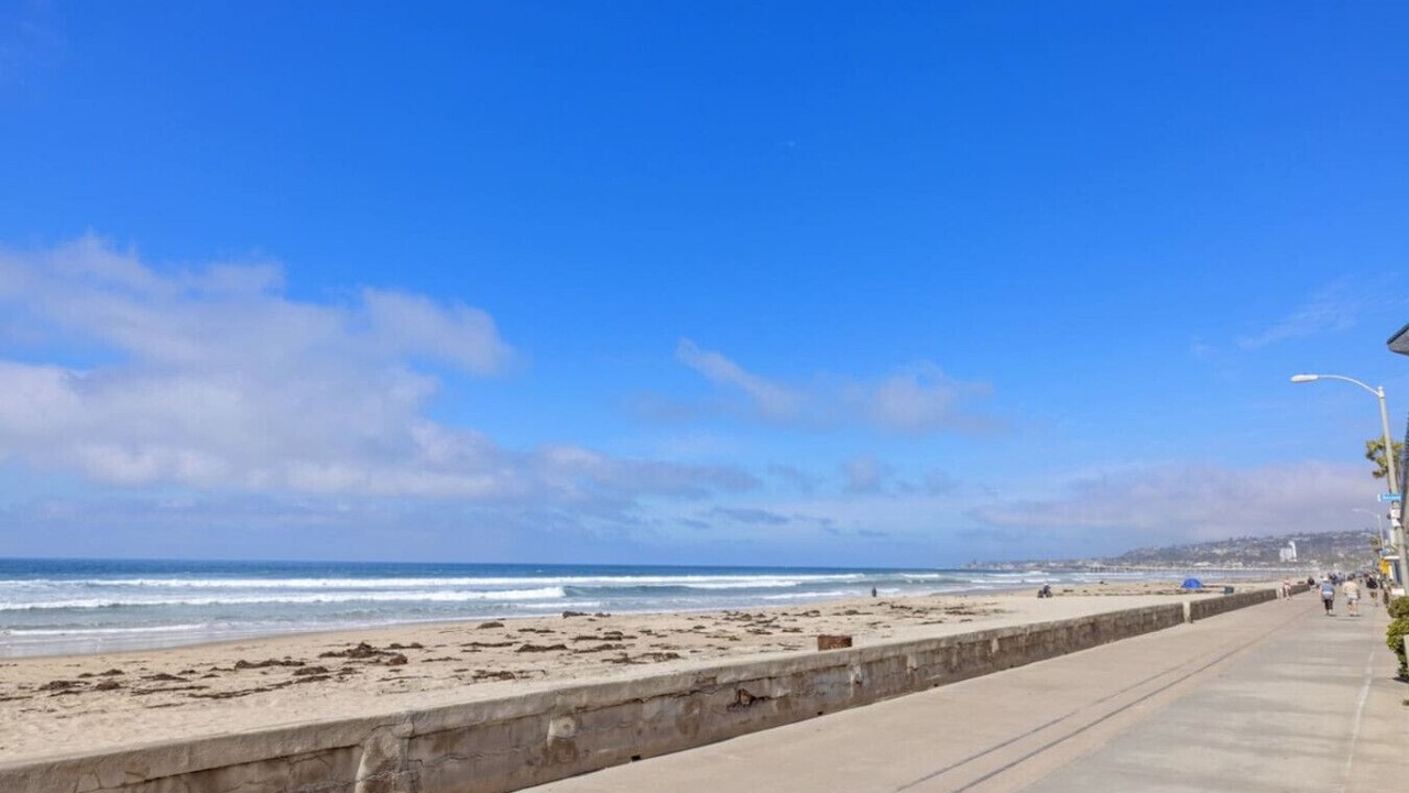 Photo of Others in Mission Beach