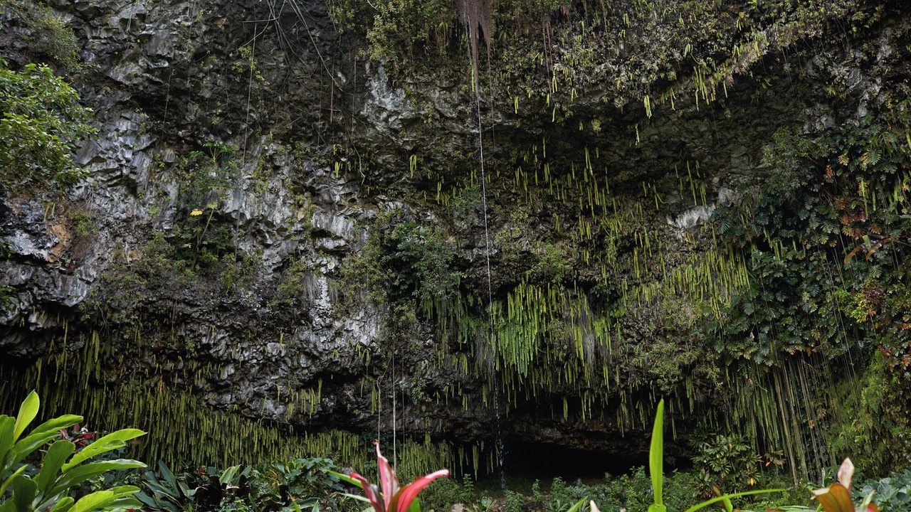 Photo of Others in Kilauea