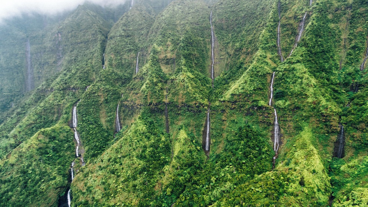 Photo of Others in Kilauea