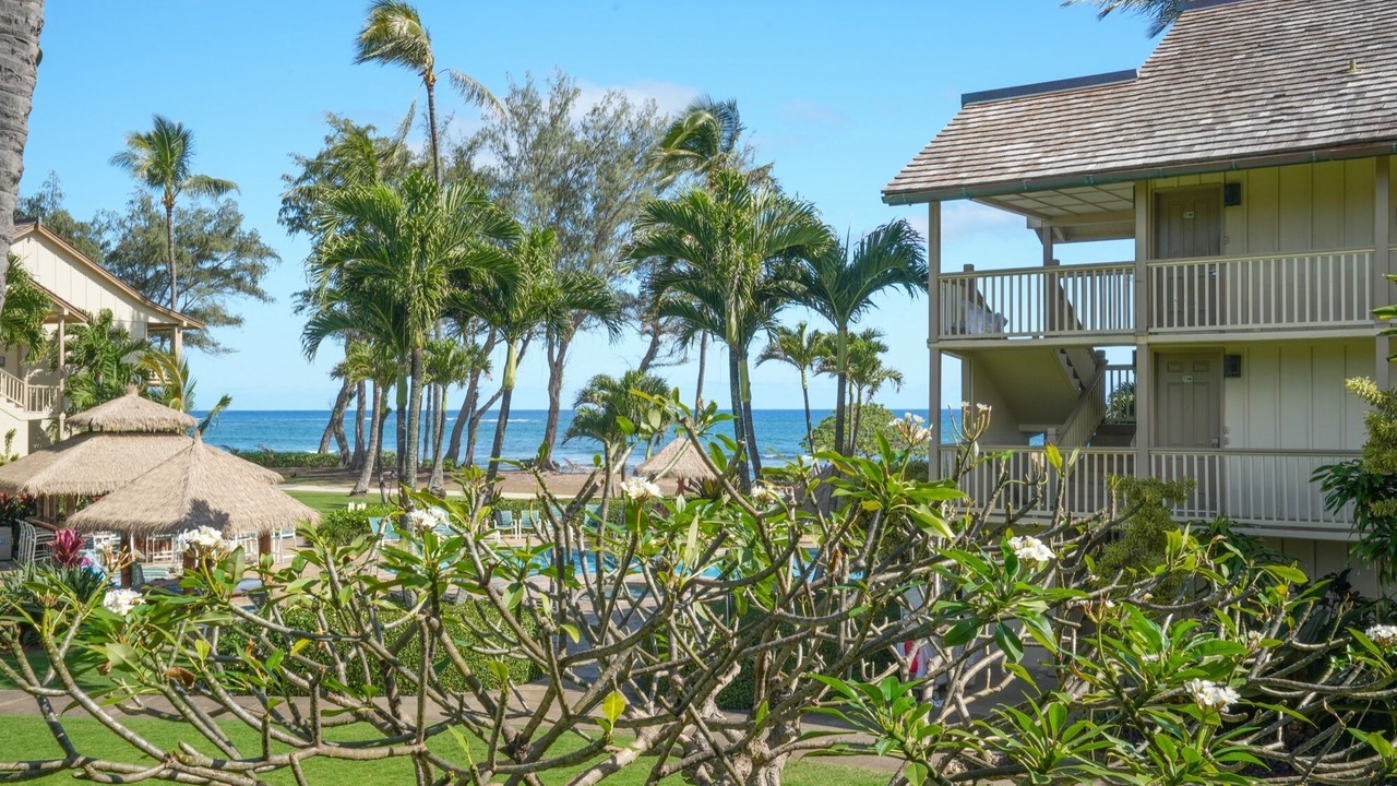 Photo of Outdoor in Wailua