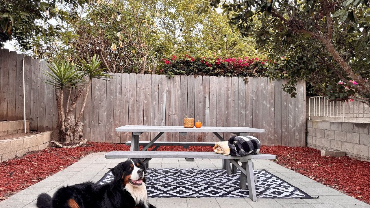 Photo of Outdoor in Clairemont Mesa