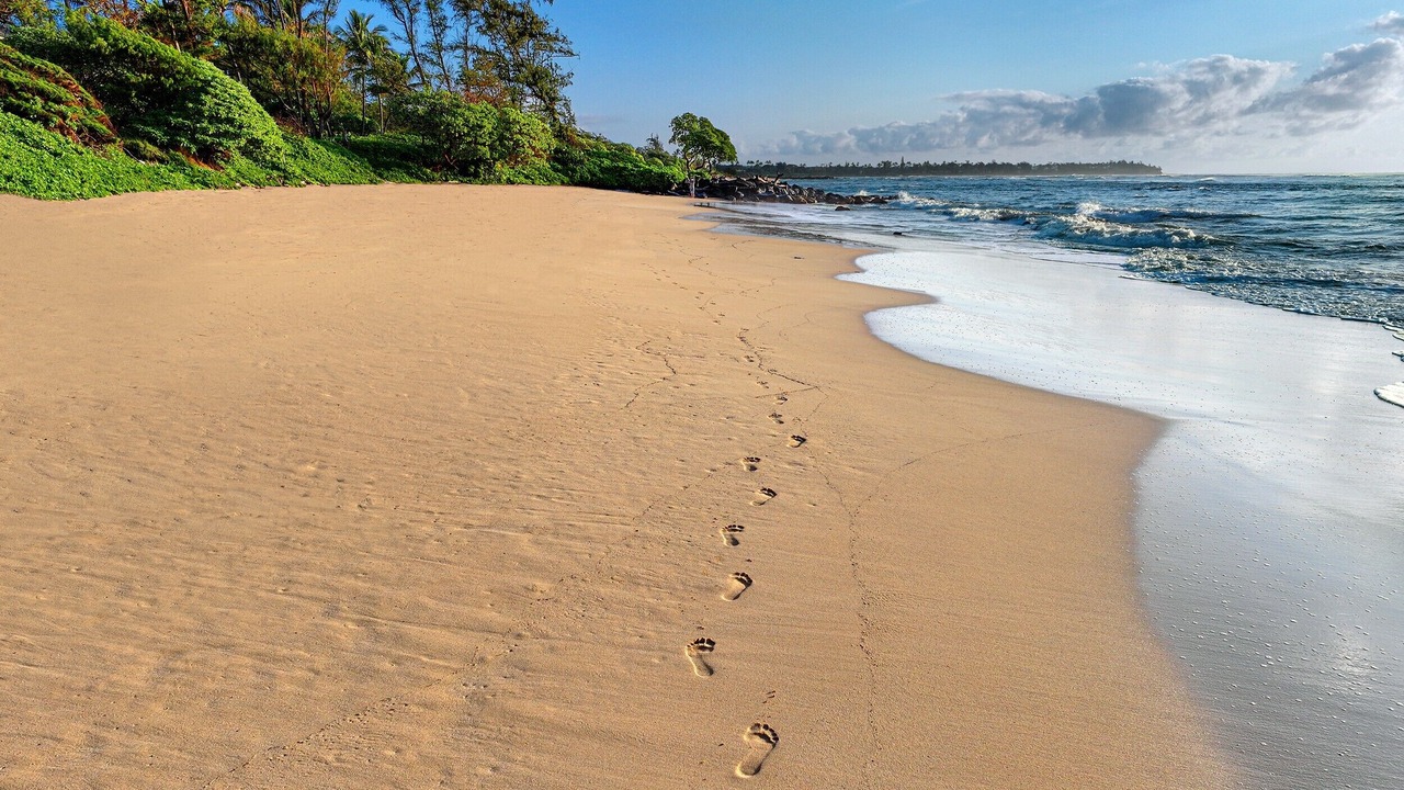 Photo of Others in Lihue