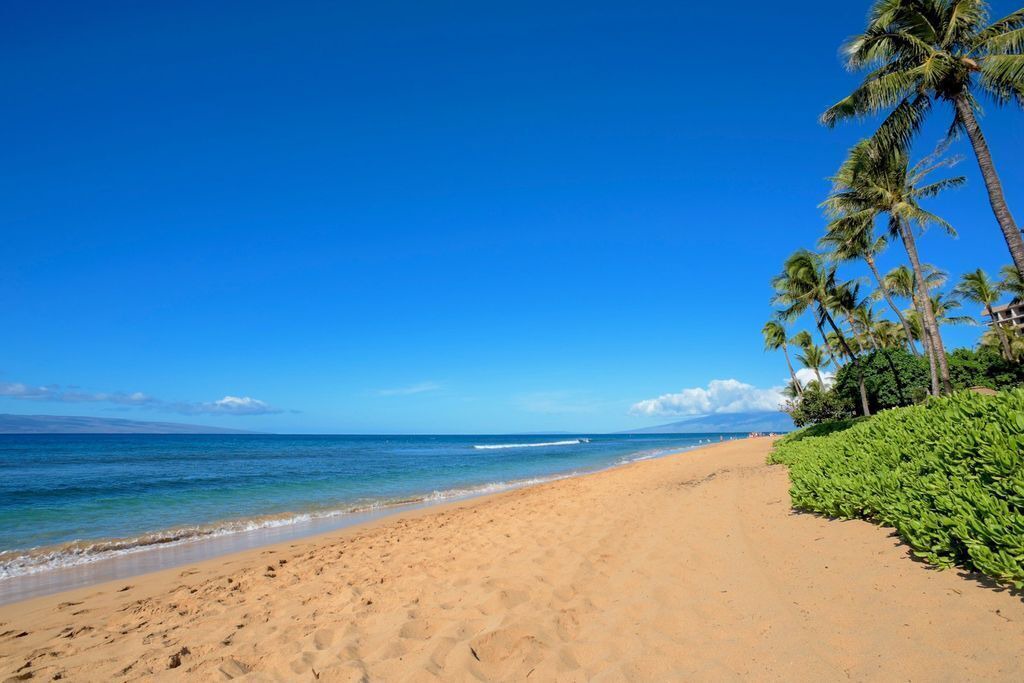 Photo of Others in Lahaina