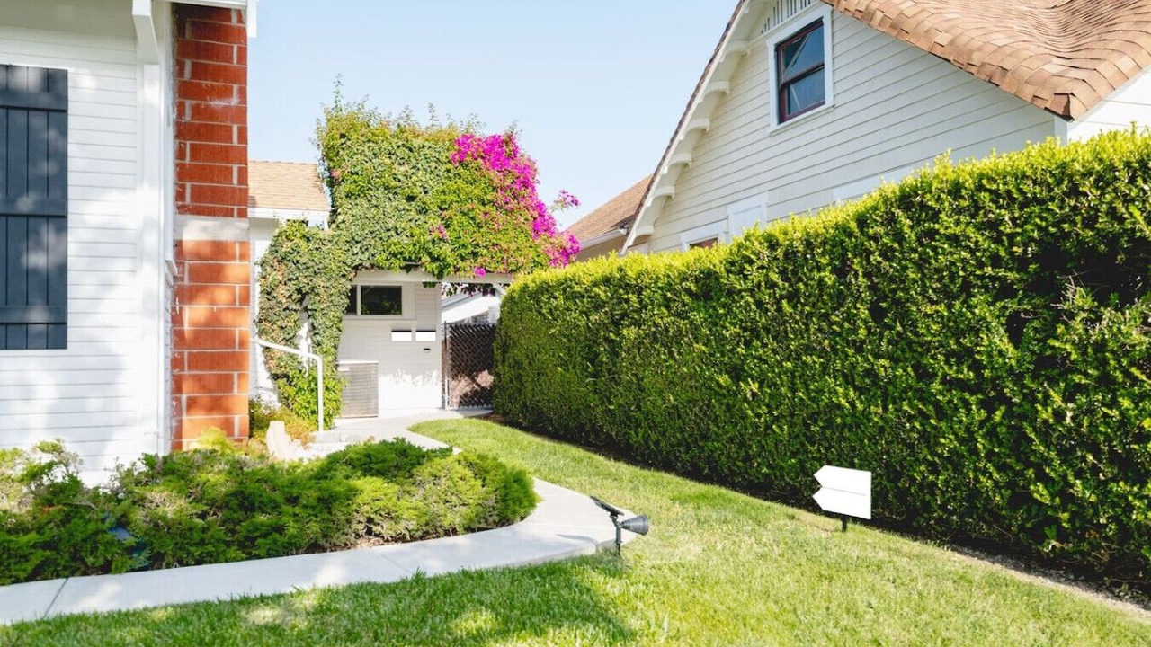Photo of Outdoor in Normal Heights