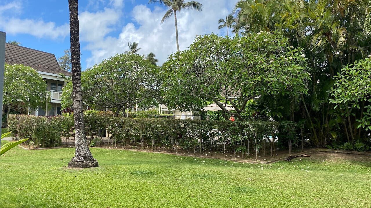 Photo of Outdoor in Wailua