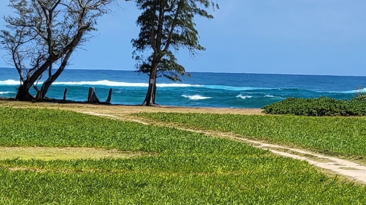 Photo of Others in Wailua