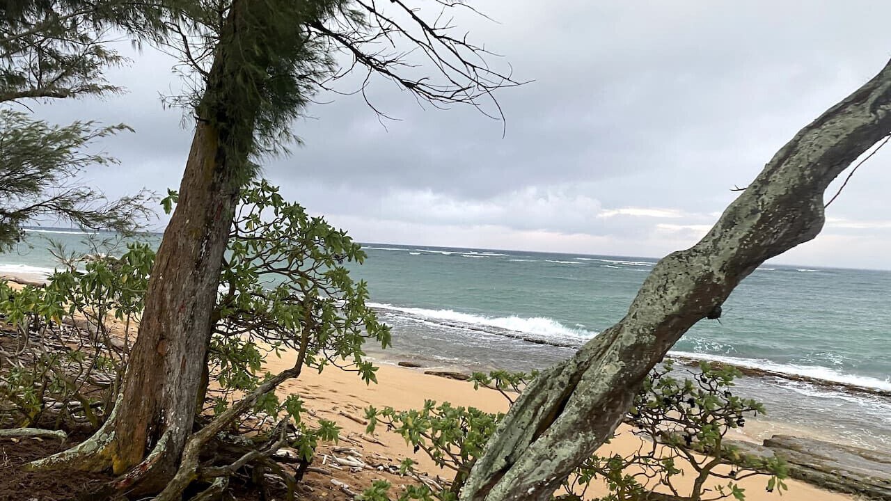 Photo of Others in Wailua